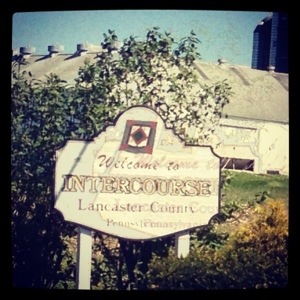 In the heart of Amish Country