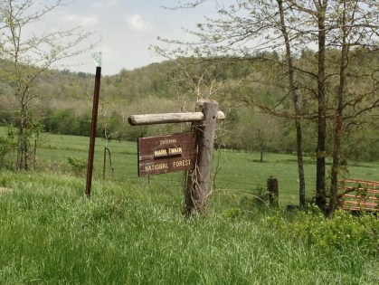 Mark Twain National Forest