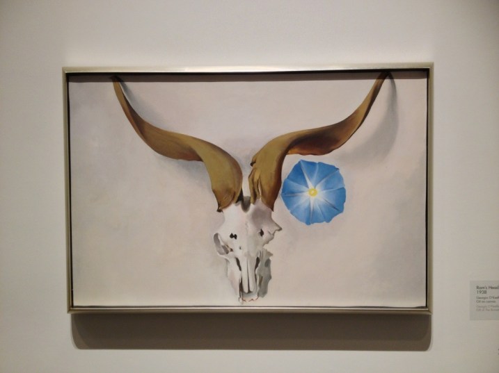 O'Keeffe Skull