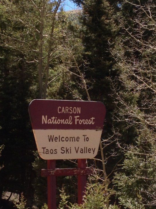 Back to Carson National Forest