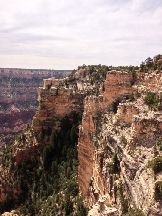 Beautiful Grand Canyon Vistas