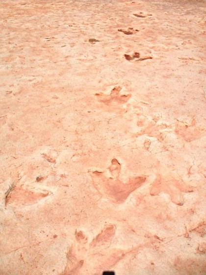 First dinosaur tracks