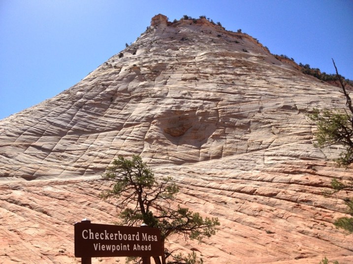 Checkerboard Mesa - Zion