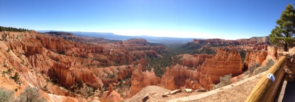 Oh the places you will go...