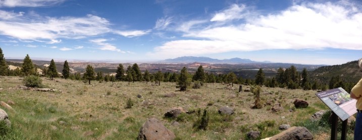 The road less travelled