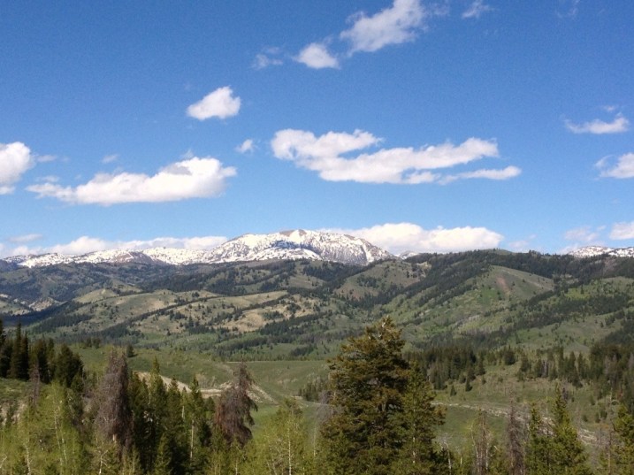 Beautiful Bridger National Forest