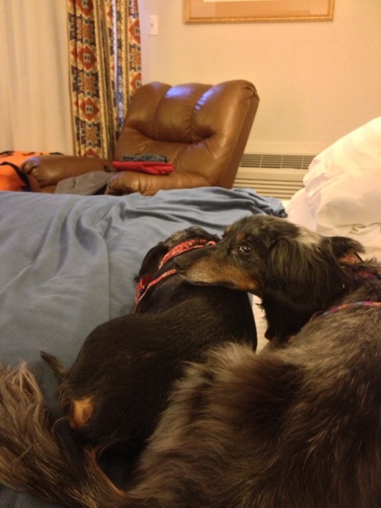 Travel is SO exhausting Travel is SO exhausting