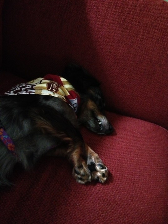 Juliet's life is so rough