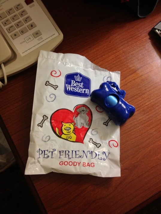 Thanks for the doggie goodie bag, Best Western!