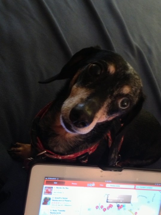 Jasmine says, "What's for dinner?"