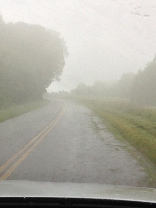 Where are we? Pea soup land!