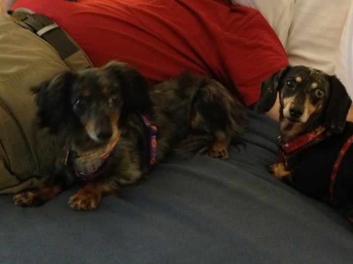 Little angels? Not that cherub on the left!