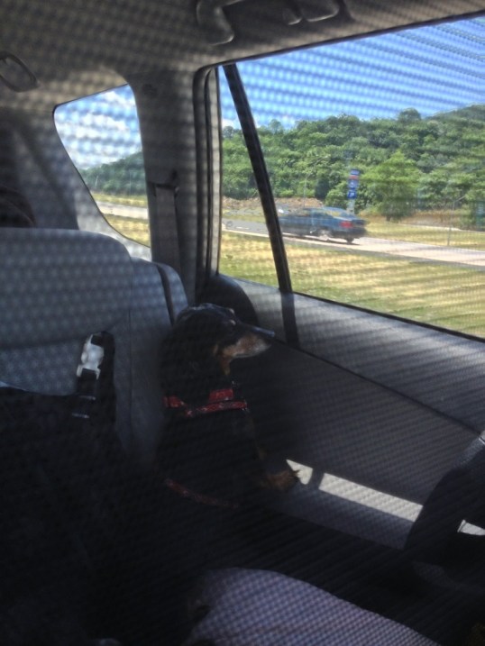 Checkin' out the scenery